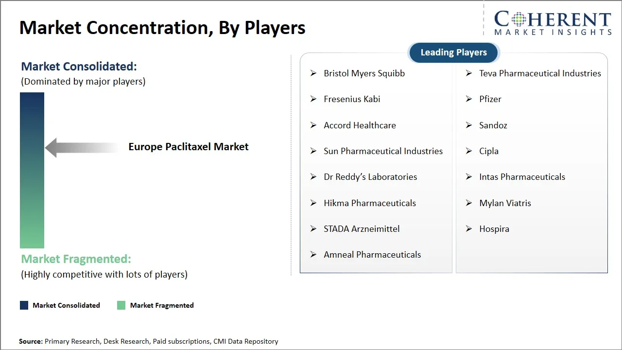 Europe Paclitaxel Market Concentration By Players